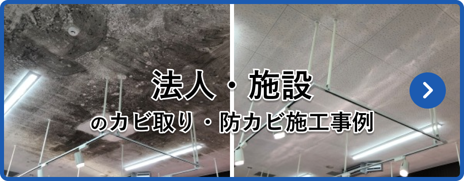 法人・施設のカビ取り・防カビ施工事例
