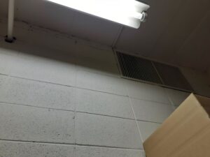 地下室はカビが生えやすい？除カビ方法や防カビ方法を専門家が解説