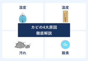 カビの4大発生原因を徹底考察【発生条件・対策方法・場所別カビ取りまとめ】
