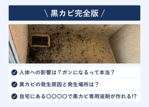 【完全版】黒カビの人体への影響・発生原因・除去方法を専門家が解説