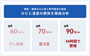 カビが発生する湿度は？50%でも発生する？90%を超えると2日で繁殖？