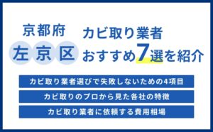 京都市左京区の実績豊富なカビ取り業者おすすめ比較5選【費用相場・選び方のコツ】
