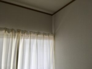 天井に発生したカビは落とせる？個人で根こそぎ落とす方法を解説