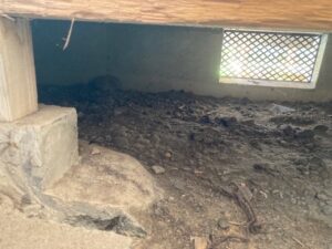 床下のカビを除去する方法と業者依頼の費用目安