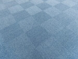 カーペットに生えたカビを除去する方法を専門家が徹底解説