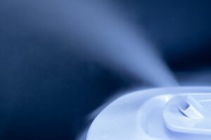 加湿器のカビで肺炎？カビ取り方法・防カビ対策・加湿器別注意点まとめ