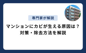 マンションにカビが生える原因は？対策や除去方法まで解説