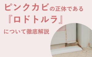 ピンクカビ（赤いぬめり）の正体『ロドトルラ』の落とし方【原因・予防・黒カビとの違い】