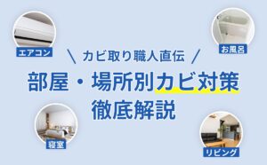 部屋のカビ対策完全ガイド｜湿度60%以下・場所別予防と安全な除去