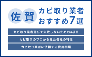 佐賀県の実績豊富なカビ取り業者おすすめ7選【費用相場・選び方のコツ】